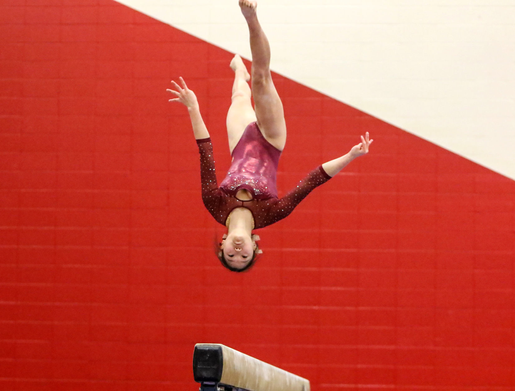 Regional Gymnastics Meet, Portage HS